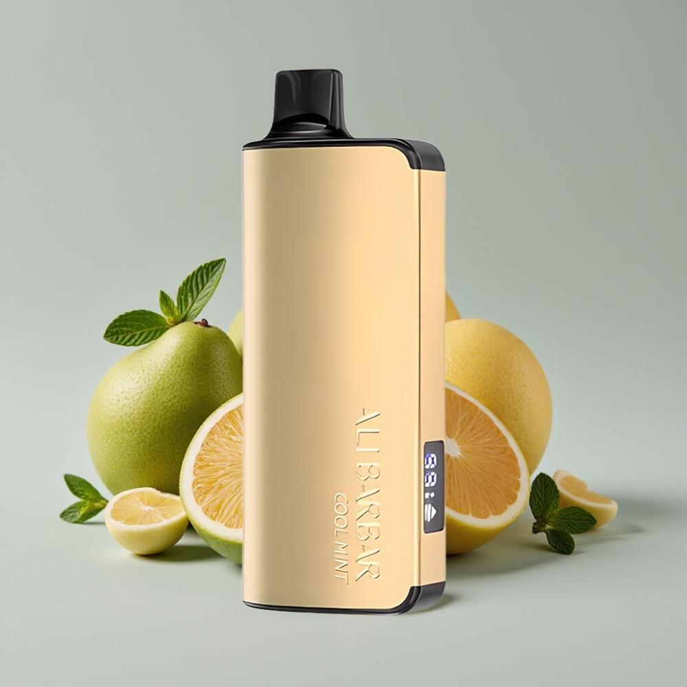 Alibarbar Ingot 9000 Puffs Vape Descongelante Mint com 22ml e 2350mAh