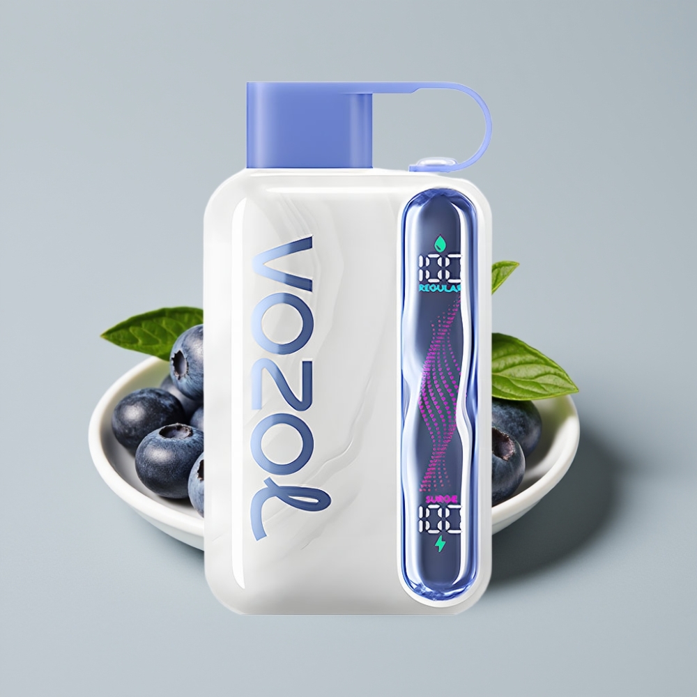 VOZOL STAR 40000 Puffs Vape Descartável Mirtilo-Menta 1000mAh Tipo-C 20/50mg/ml